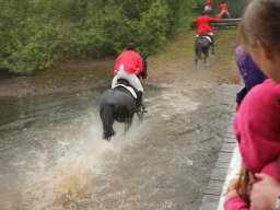 img_9837_web